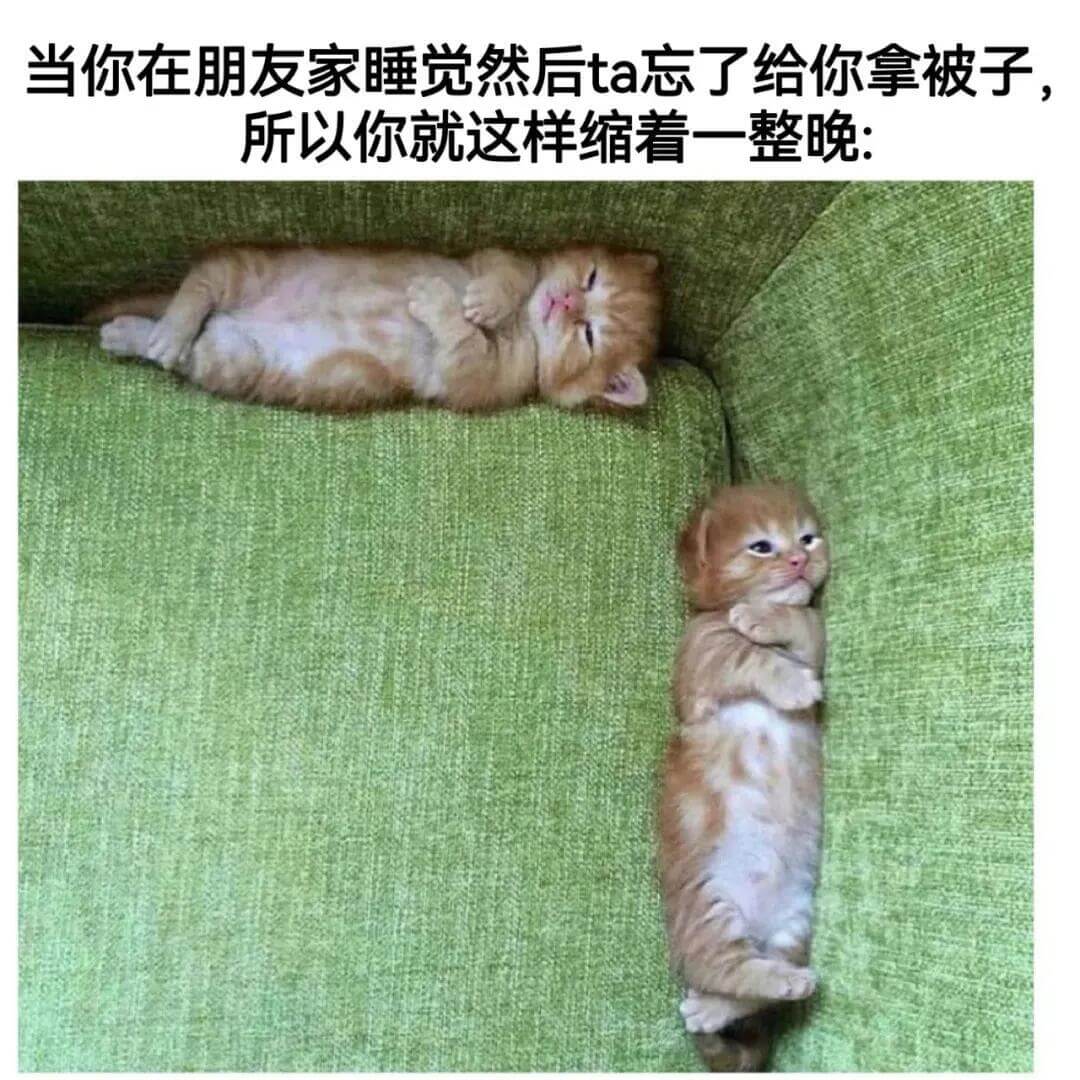 当你在朋友家睡觉，然后ta忘了给你拿被子，所以你就这样缩着一