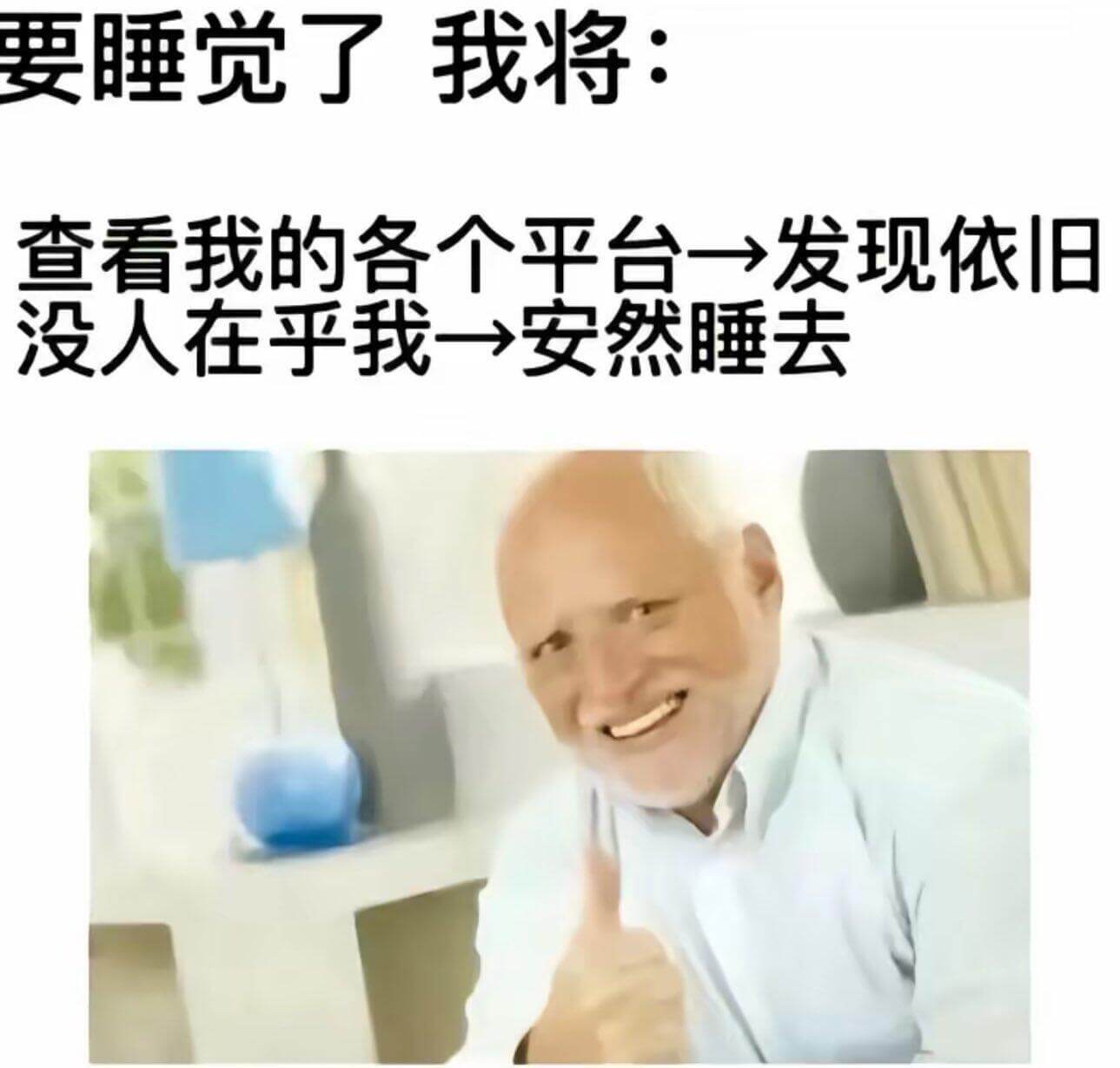 要睡觉了我将：查看我的各个平台，一发现依旧没人在乎我，安然睡