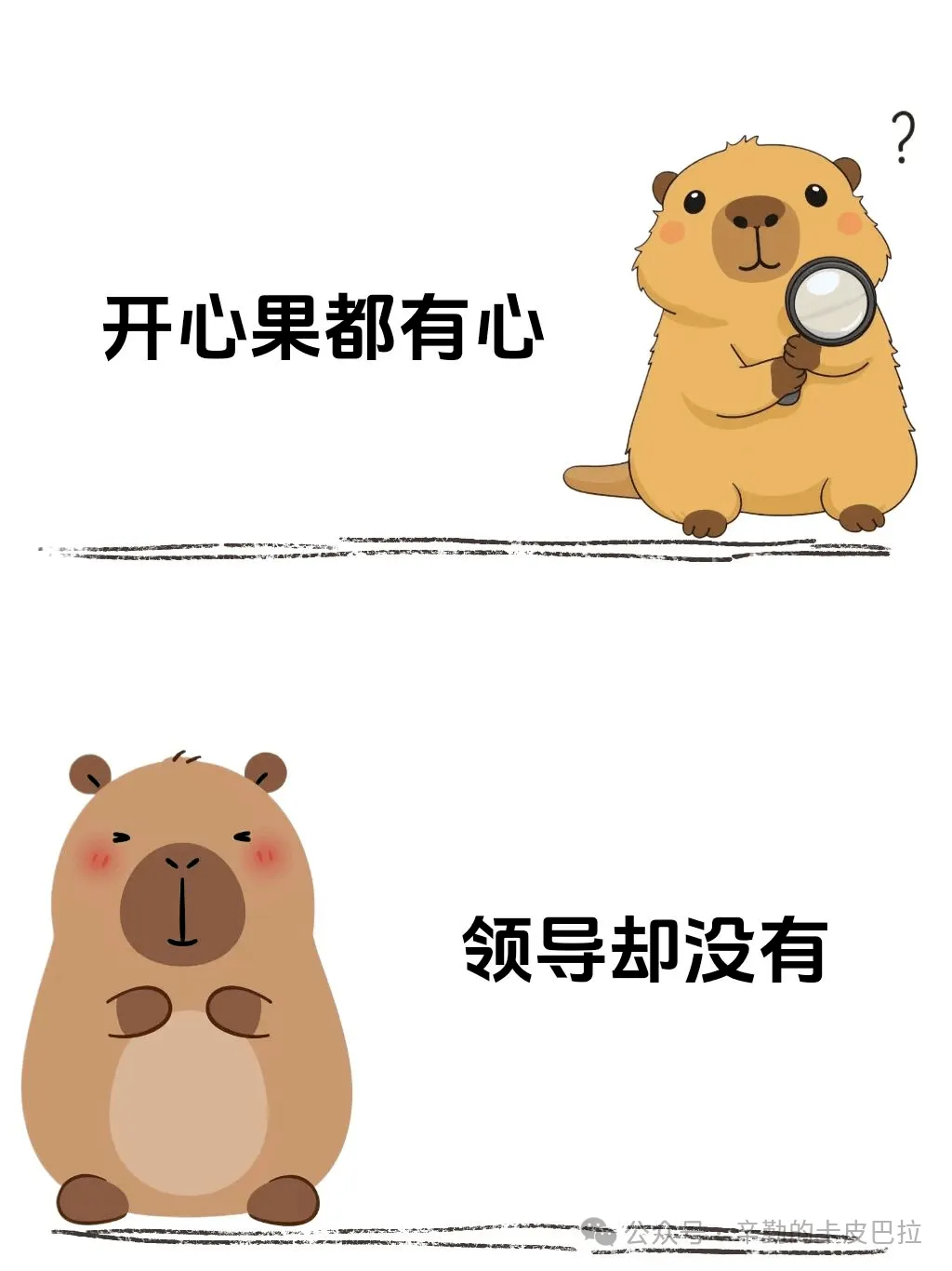 开心果都有心领导却没有