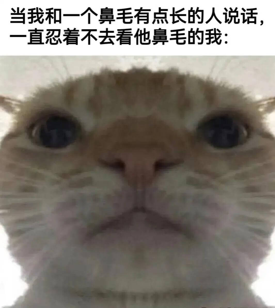 当我和一个鼻毛有点长的人说话，一直忍着不去看他鼻毛的我：