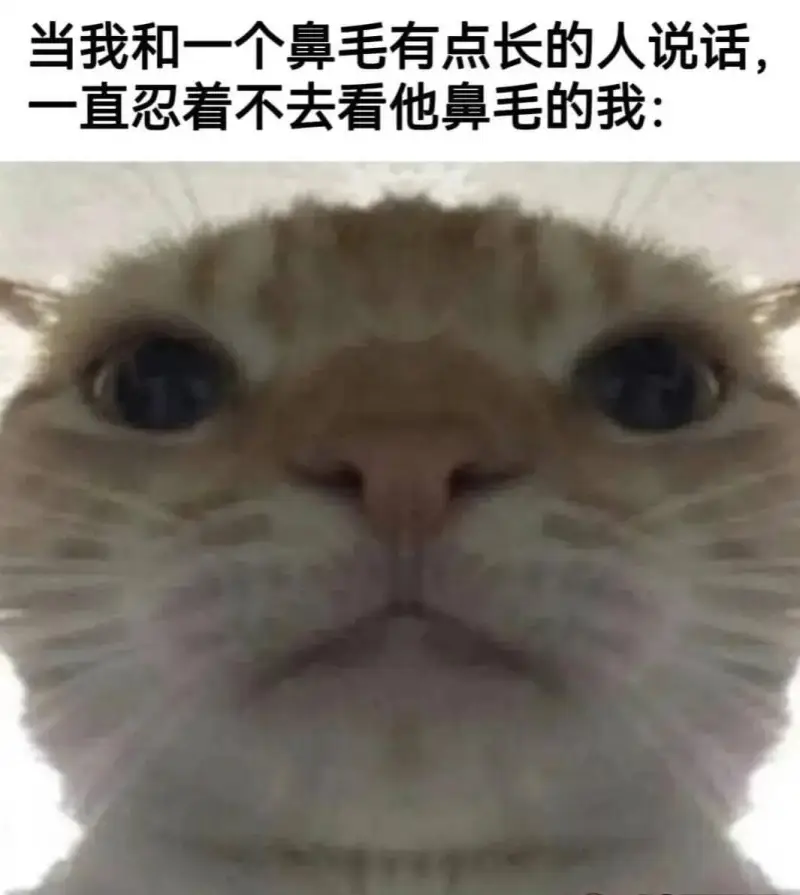当我和一个鼻毛有点长的人说话，一直忍着不去看他鼻毛的我：