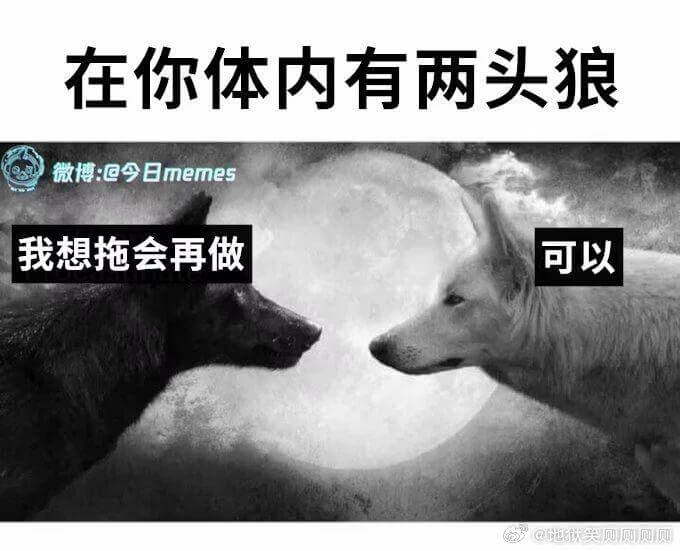 在你体内有两头狼微博：@今日memes我想拖会再做可以