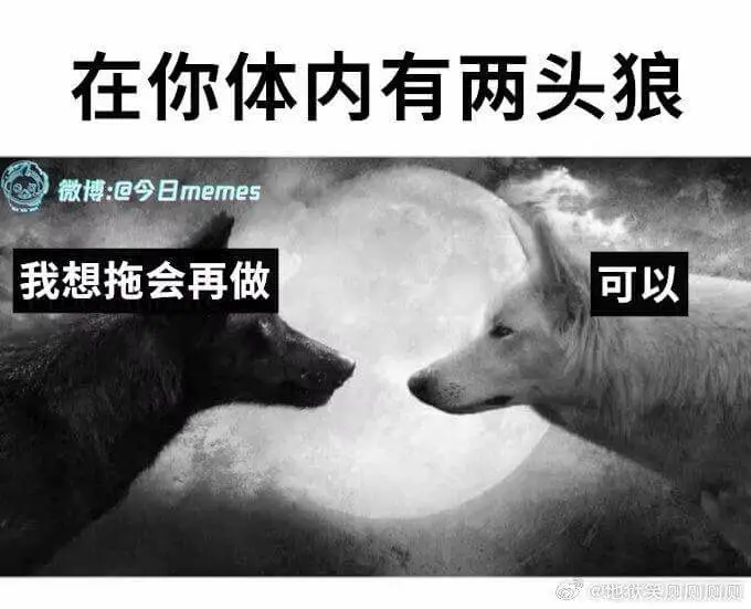 在你体内有两头狼微博：@今日memes我想拖会再做可以