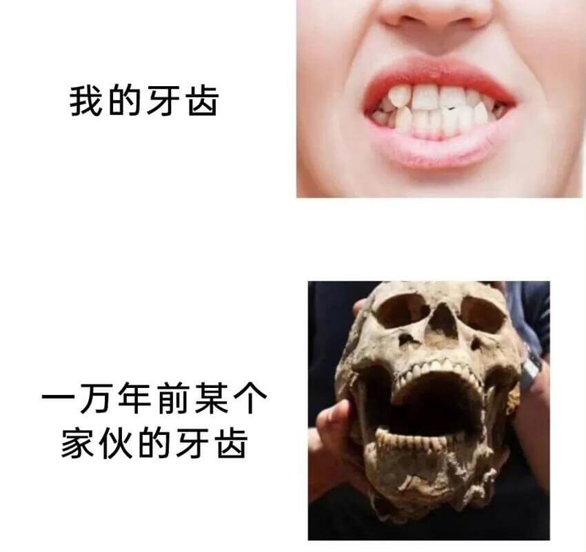 我的牙齿一万年前某个家伙的牙齿