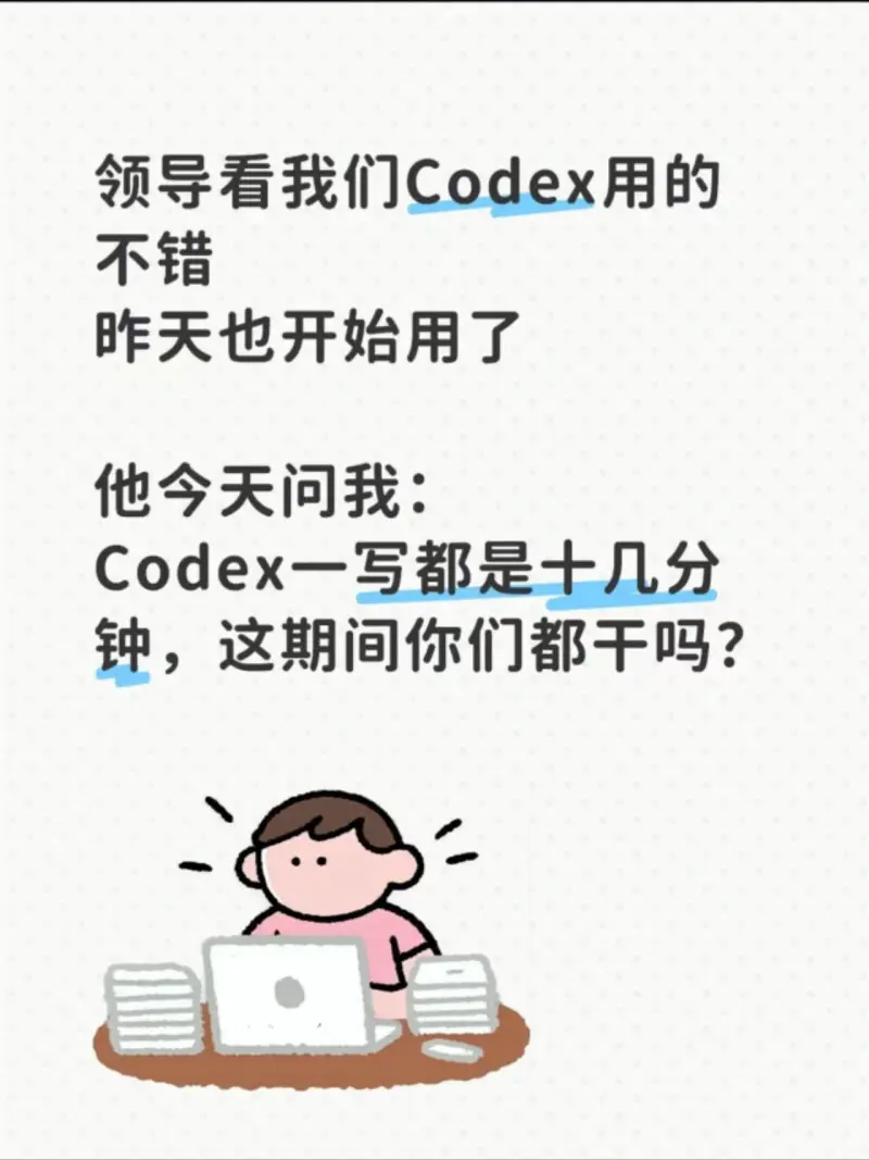 领导看我们Codex用的不错，昨天也开始用了。他今天问我：“