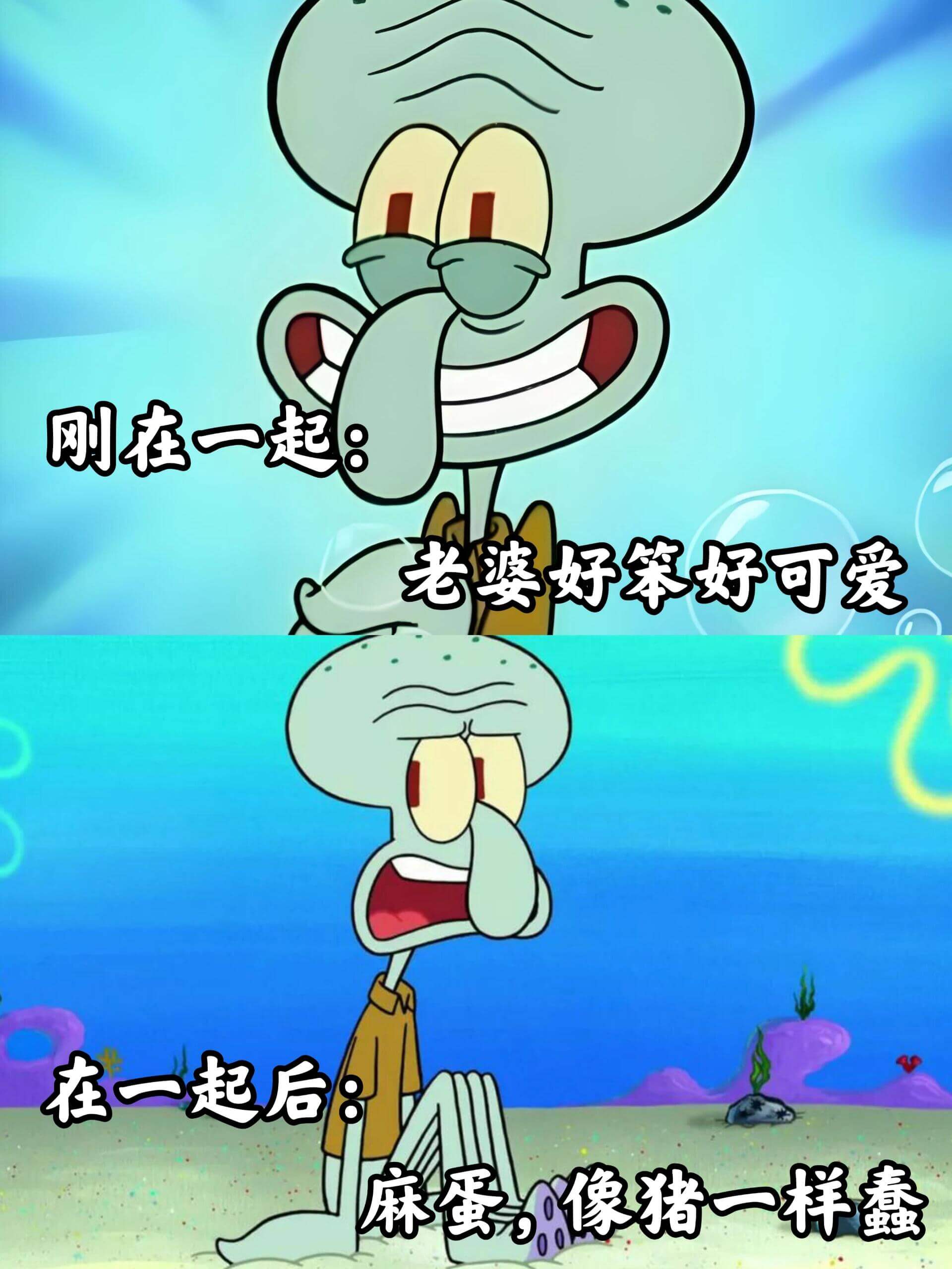 刚在一起时，老婆好笨好可爱。在一起后，麻蛋像猪一样蠢。