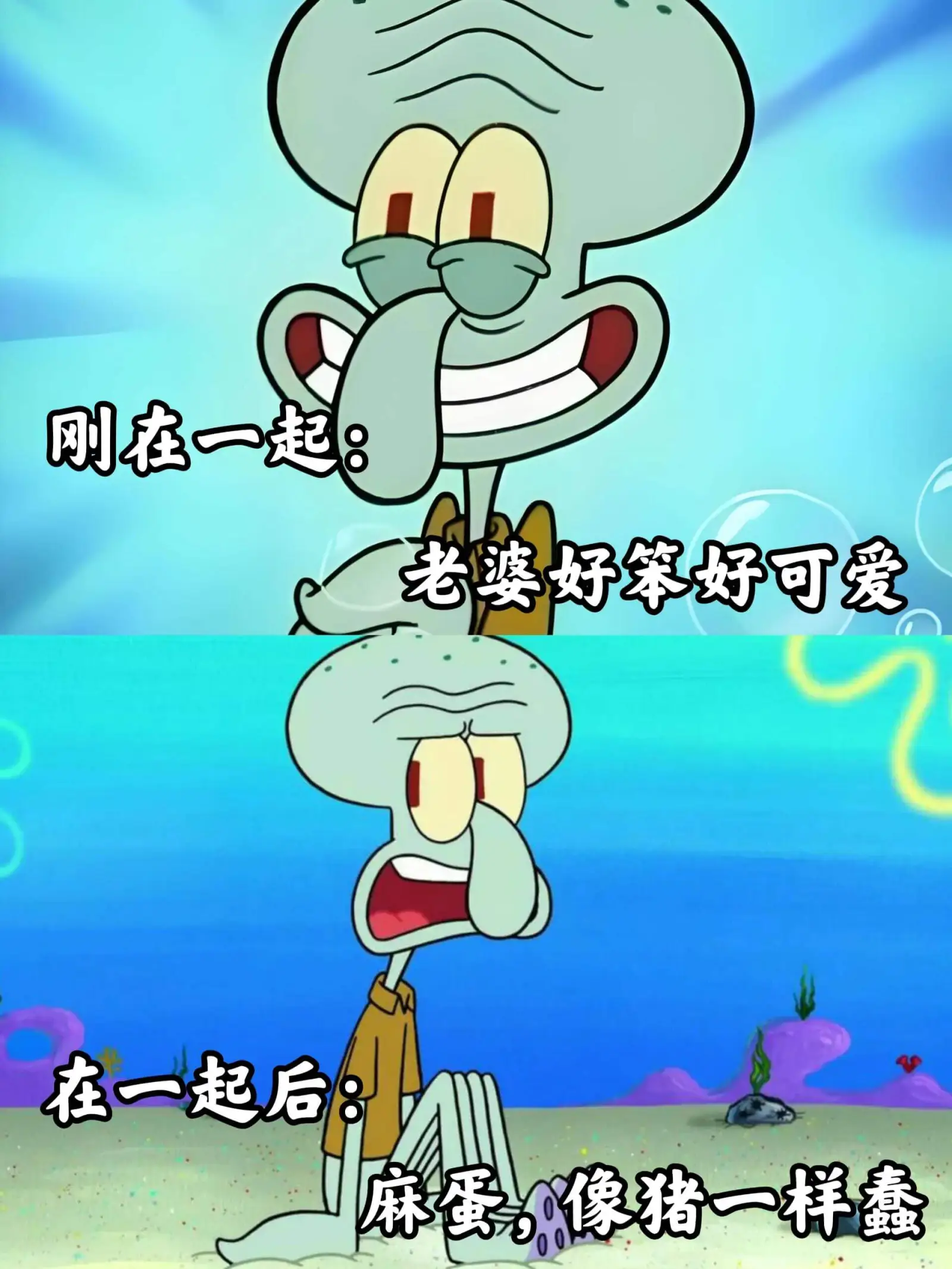 刚在一起时,老婆好笨好可爱。在一起后,麻蛋像猪一样蠢。