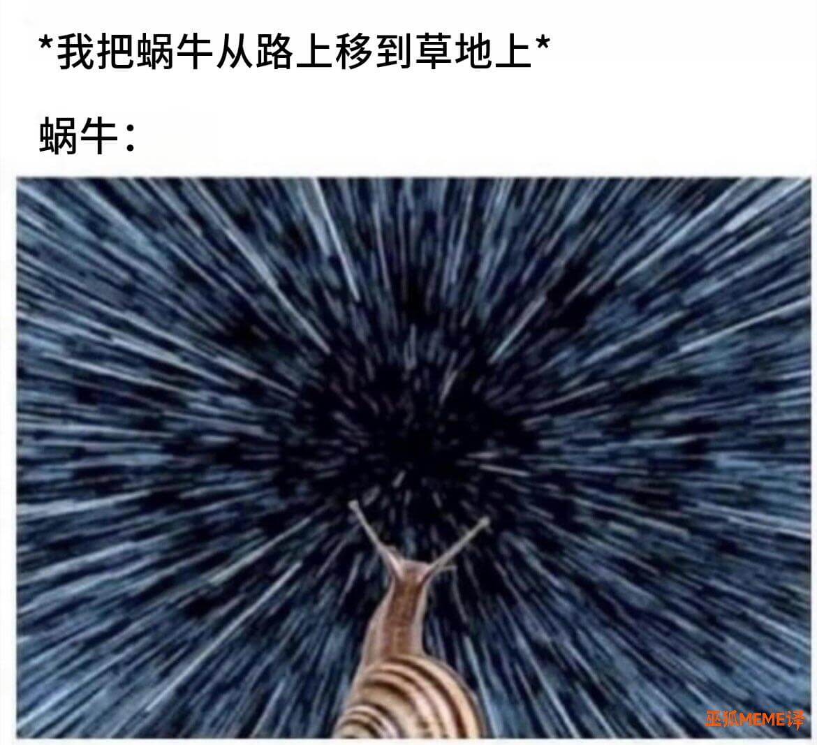 我把蜗牛从路上移到草地上蜗牛：正狐MEME译