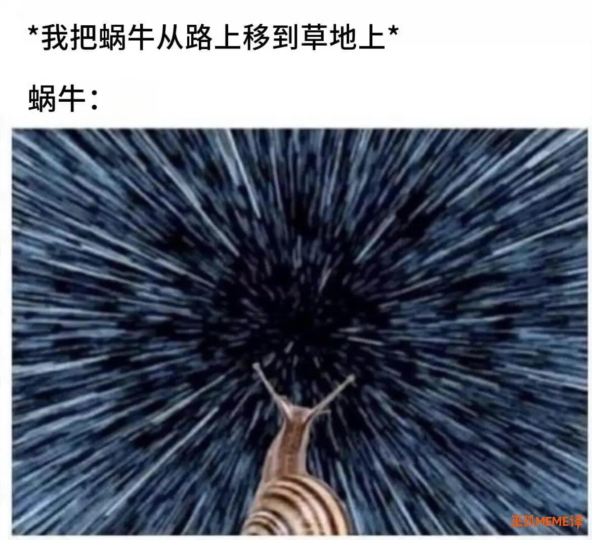 我把蜗牛从路上移到草地上蜗牛：正狐MEME译