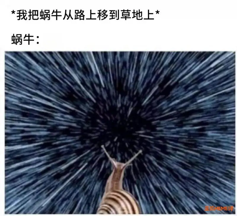 我把蜗牛从路上移到草地上蜗牛：正狐MEME译