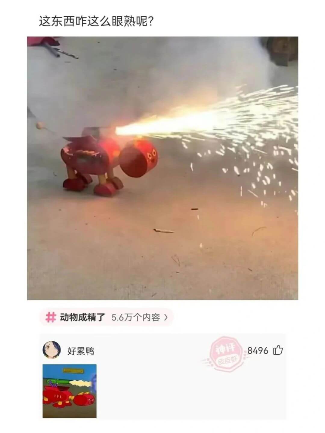 这东西咋这么眼熟呢?动物成精了5.6万个内容好累鸭