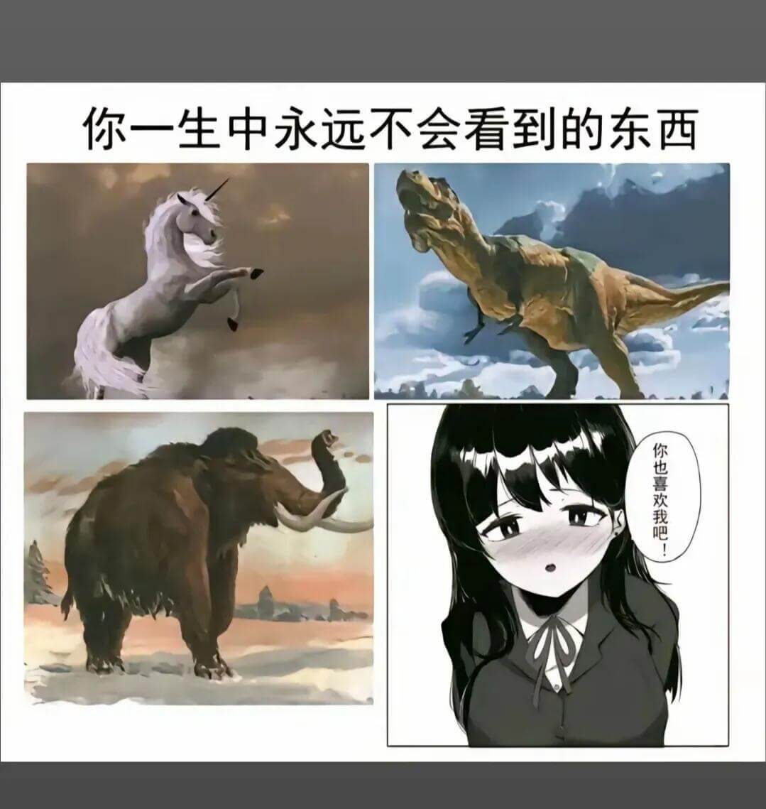 你一生中永远不会看到的东西你也喜欢我吧！