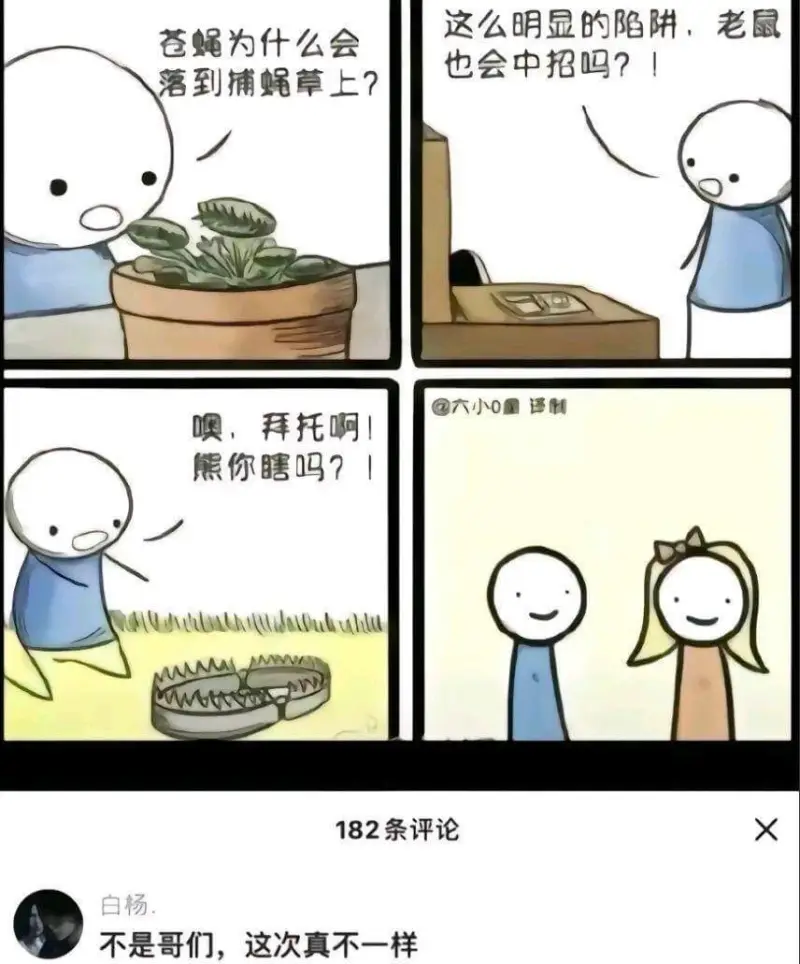 这么明显的陷阱，老鼠和苍蝇为什么会中招吗？！落到捕蝇草上？六