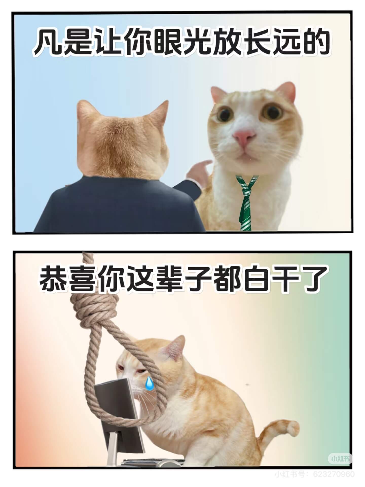 凡是让你眼光放长远的，恭喜你这辈子都白千了。小红书