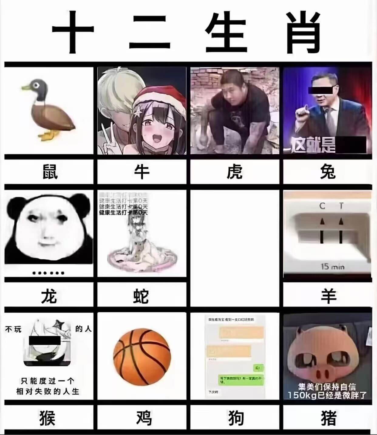 十二生肖这就是：鼠牛虎兔婴命生活打卡第0天健康生活打家0天健