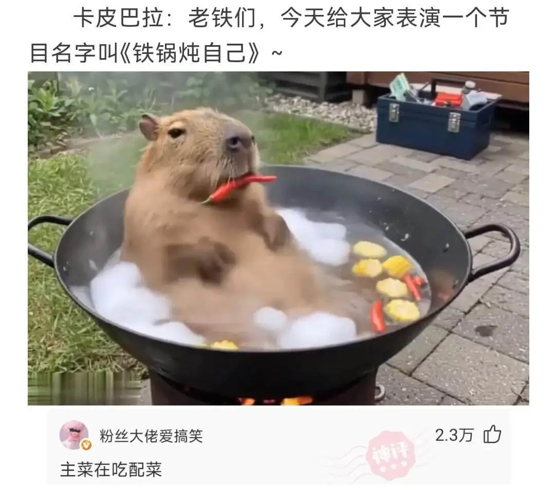 卡皮巴拉:老铁们，今天给大家表演一个节目，名字叫《铁锅炖自己