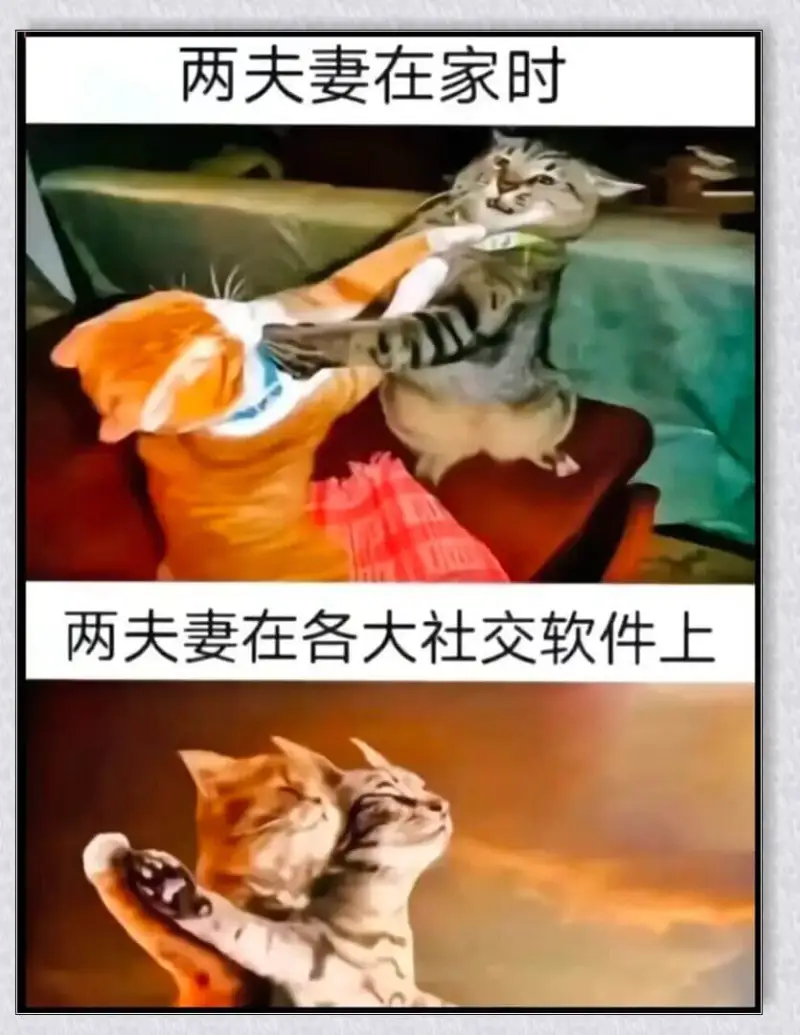 两夫妻在家时，两夫妻在各大社交软件上，