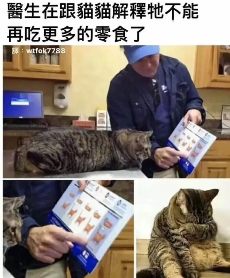 馨生在跟猫猫解释：不能再吃更多的零食了。wtfok7788