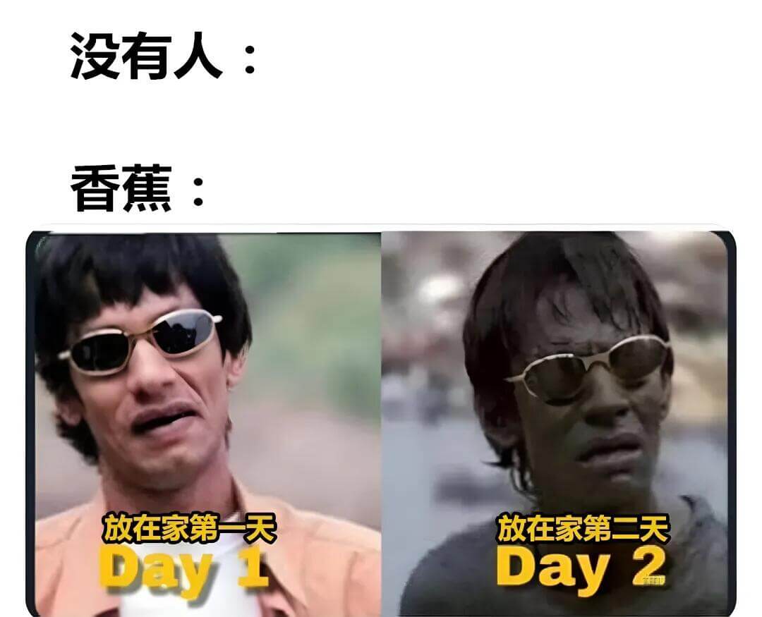 没有人：香蕉：放在家第一天放在家第二天Day1Day2