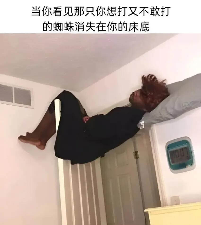 当你看见那只你想打又不敢打的蜘蛛消失在你的床底