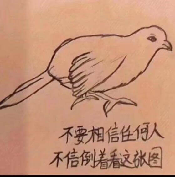 不要相信任付人不信例着看这涨阁