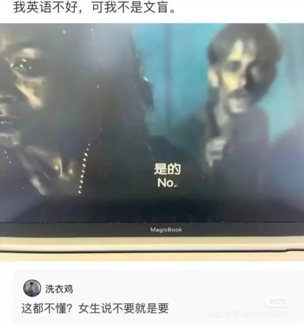 我英语不好，可我不是文盲。是的No.MagicBook洗衣鸡