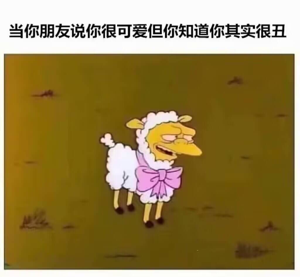 当你朋友说你很可爱但你知道你其实很丑