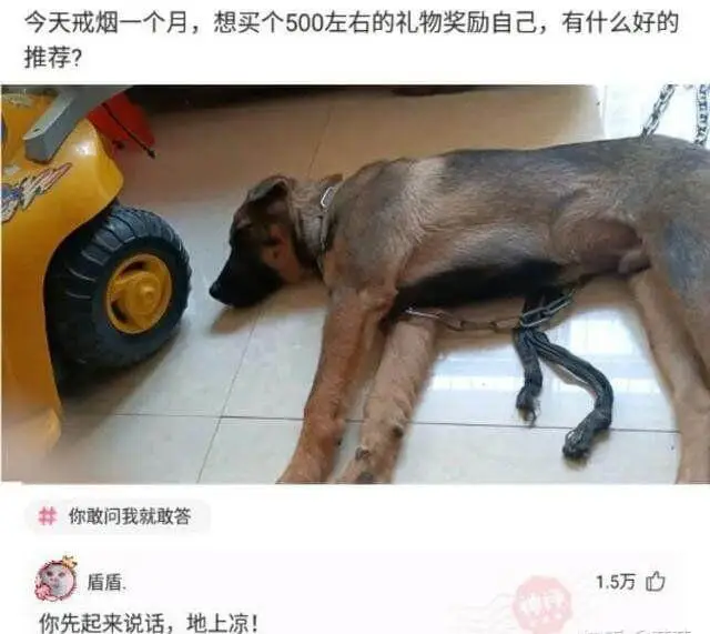 今天戒烟一个月，想买个500左右的礼物奖励自己，有什么好的推