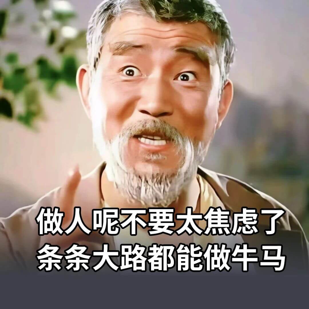 做人呢不要太焦虑了，条条大路都能做牛马