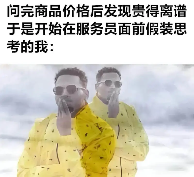 问完商品价格后发现贵得离谱，于是开始在服务员面前假装思考的我