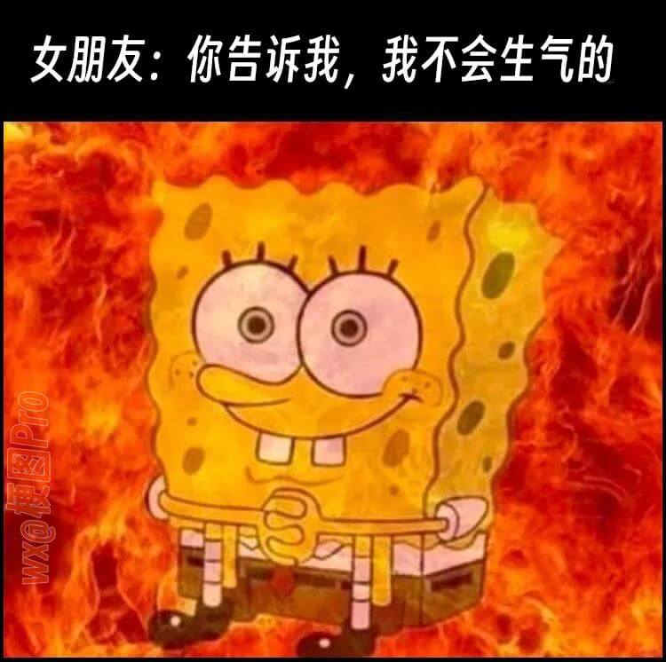女朋友:你告诉我，WX@梗图Pro