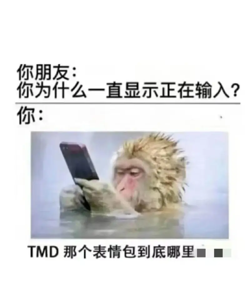 你朋友:你为什么一直显示正在输入?你:TMD那个表情包到底哪