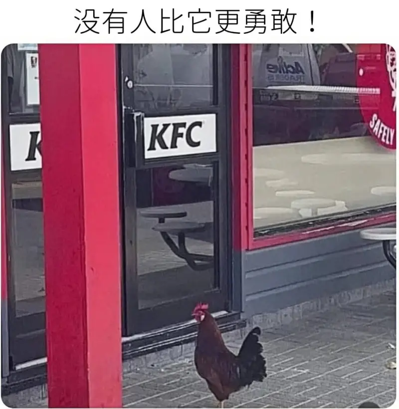 没有人比它更勇敢!KFC