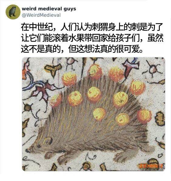 weirdmedievalguys@WeirdMedieva