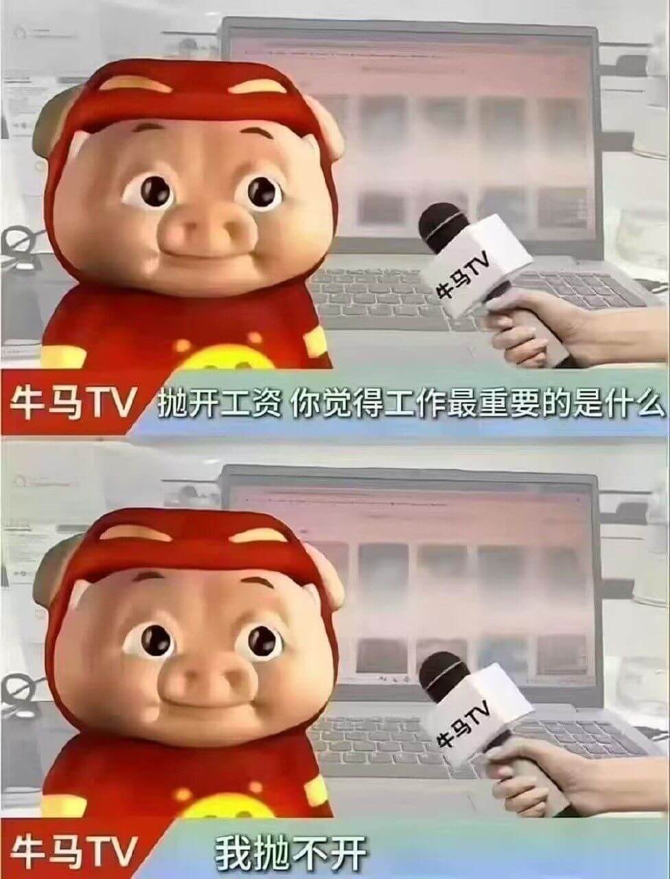 牛马TV牛马TV抛开工资，你觉得工作最重要的是什么？牛马TV