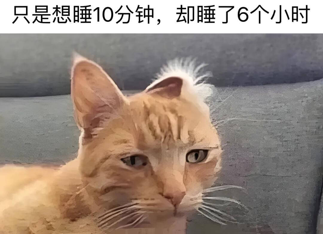 只是想睡10分钟，却睡了6个小时