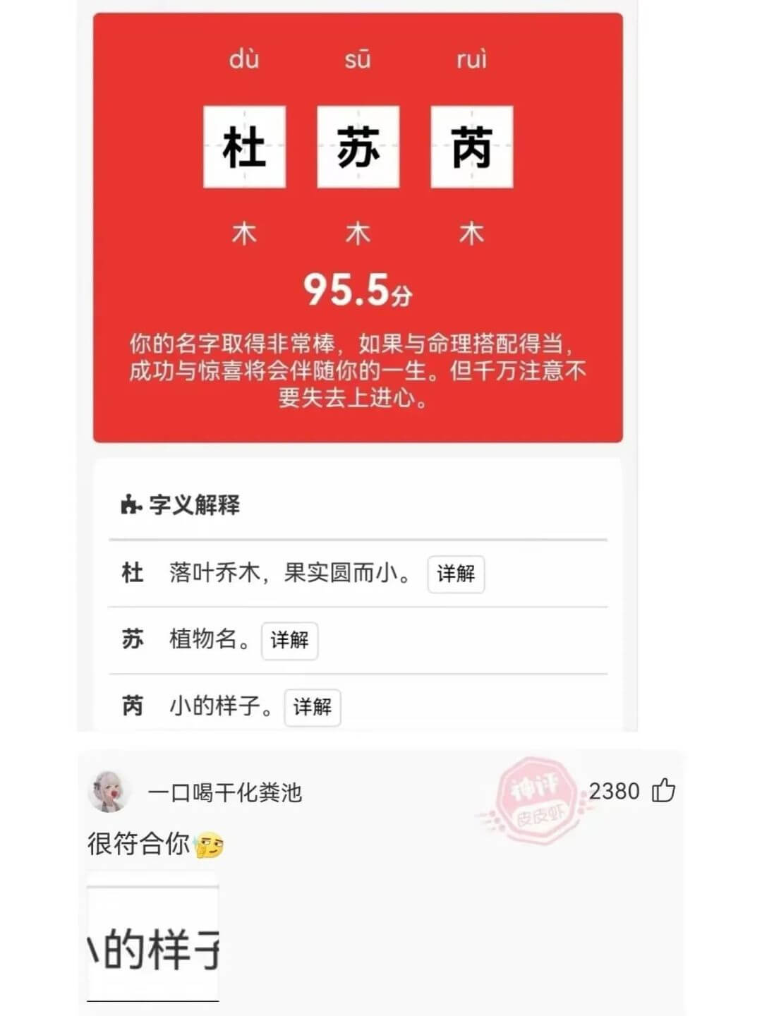 dusurui杜苏芮木木木95.5分你的名字取得非常棒，如果
