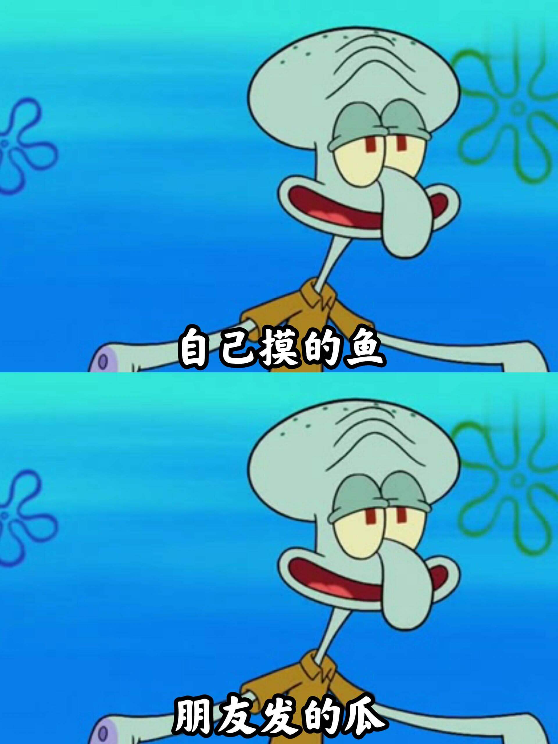 自己摸的鱼朋友发的瓜