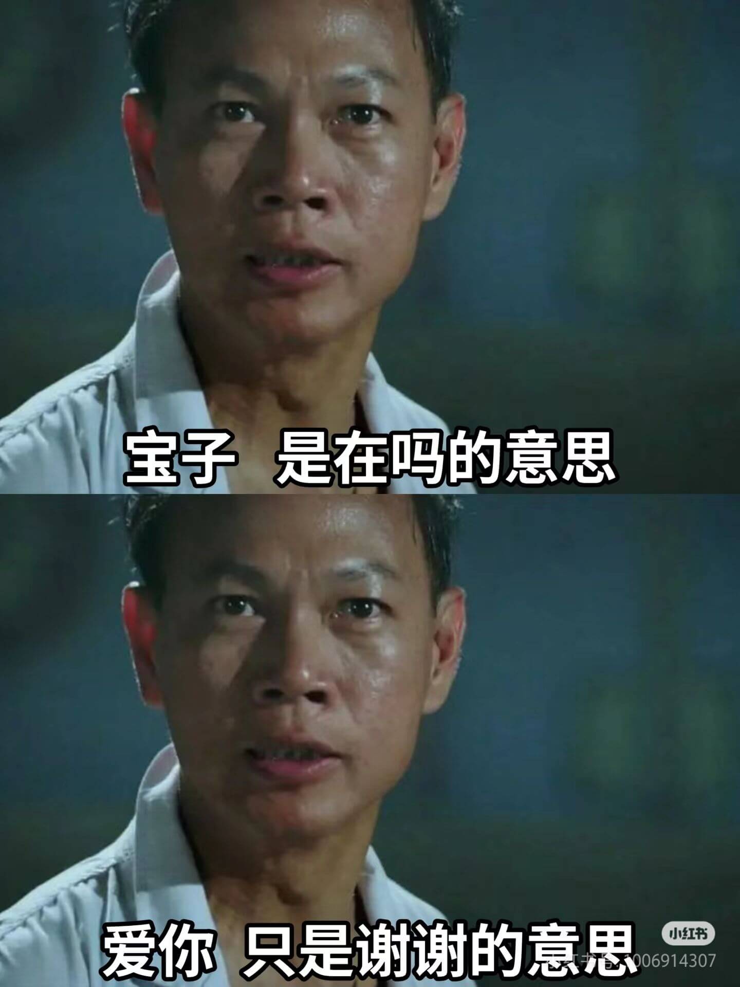 宝子是在吗的意思爱你，只是谢谢的意思小红书