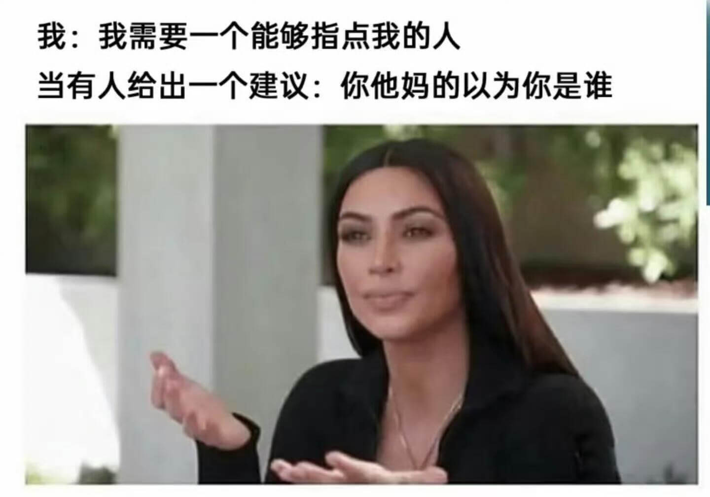 我：我需要一个能够指点我的人当有人给出一个建议：你他妈的以为