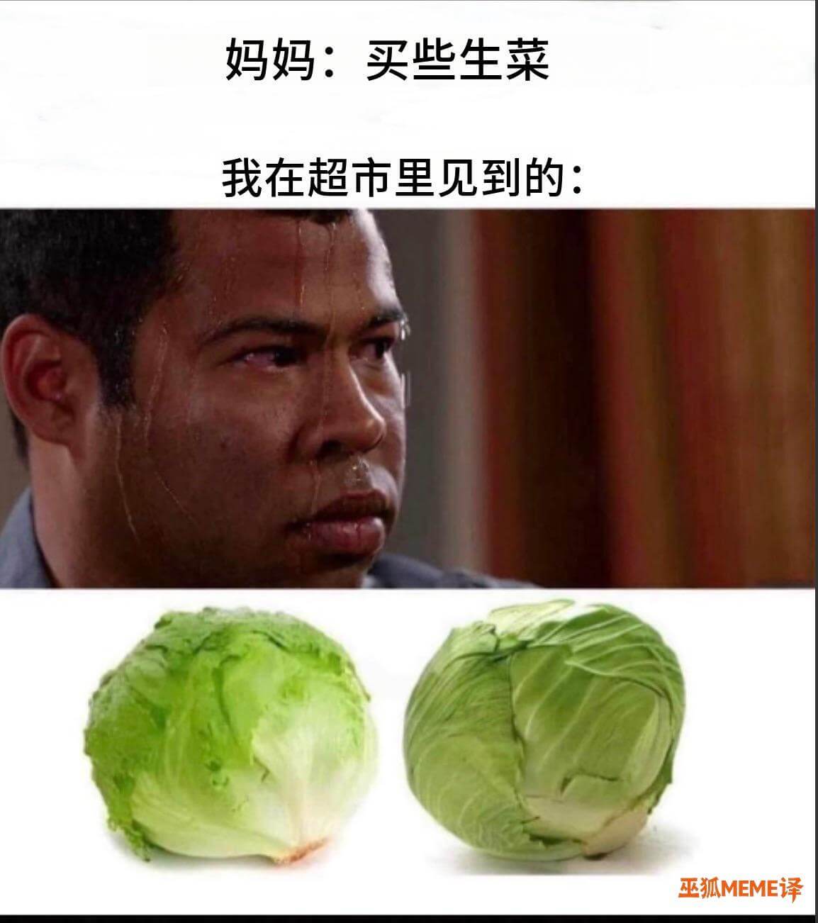 妈妈：买些生菜我在超市里见到的：巫狐MEME译