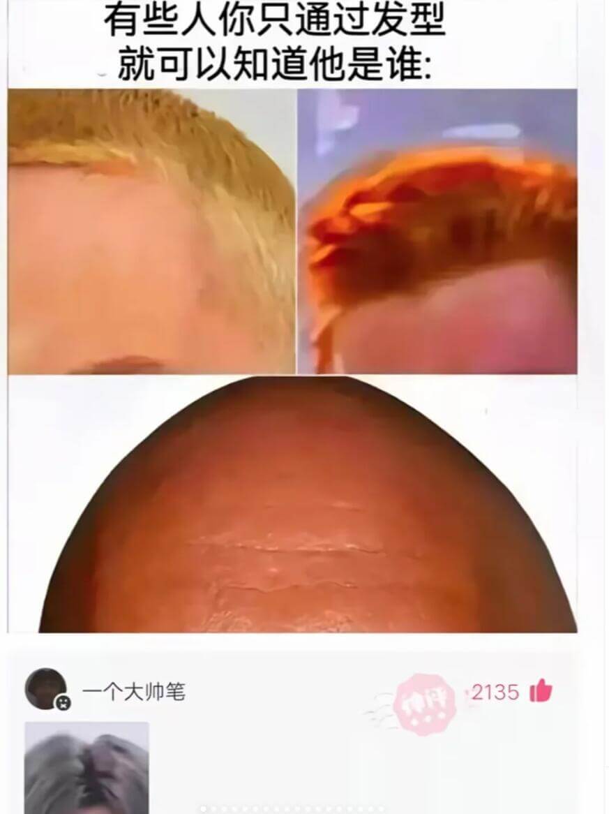 有些人你只通过发型就可以知道他是谁：一个大帅笔2135事件