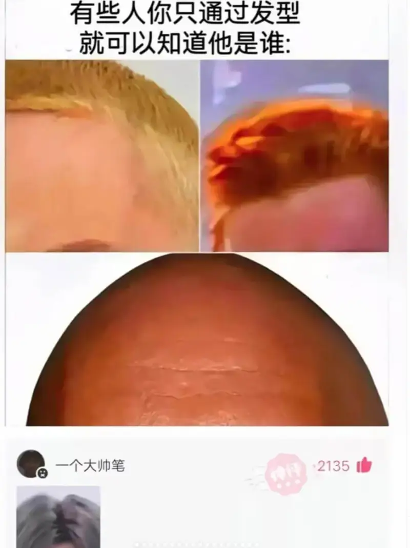 有些人你只通过发型就可以知道他是谁：一个大帅笔2135事件