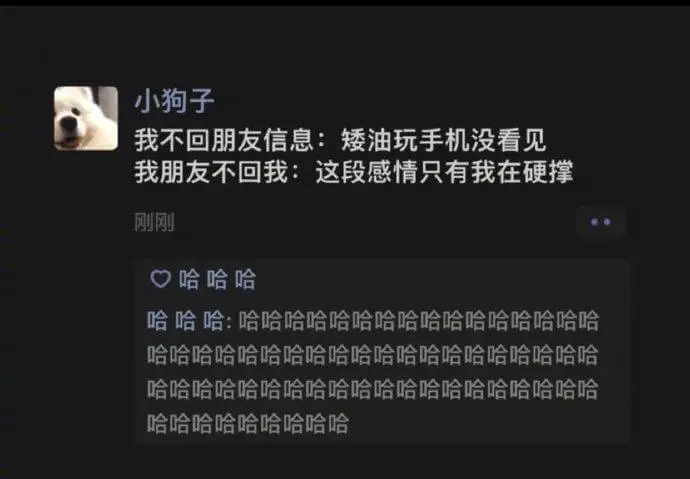 小狗子我不回朋友信息:矮油，玩手机没看见。我朋友不回我:这段