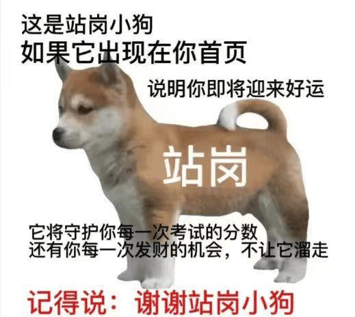 这是站岗小狗如果它出现在你首页说明你即将迎来好运站岗它将守护