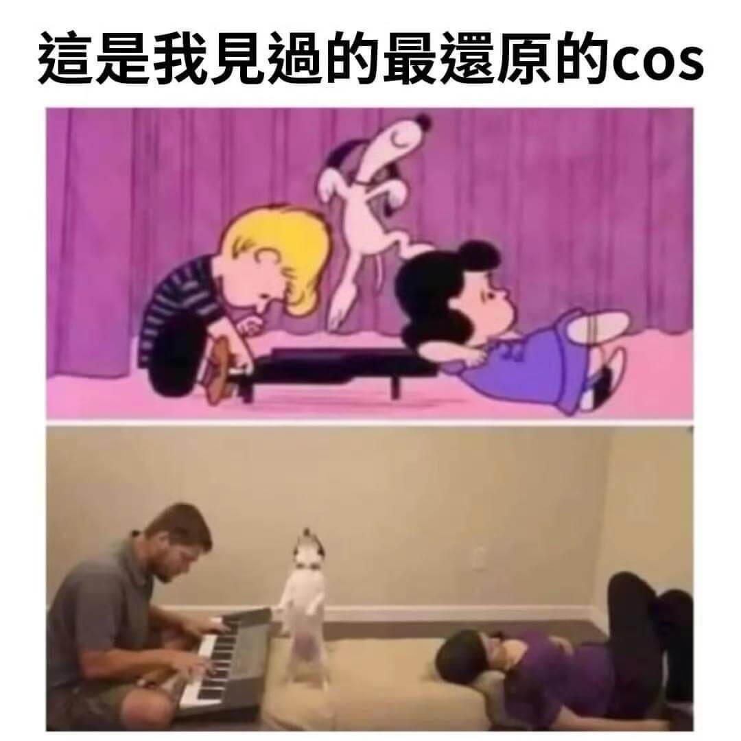 這是我見過的最還原的cos