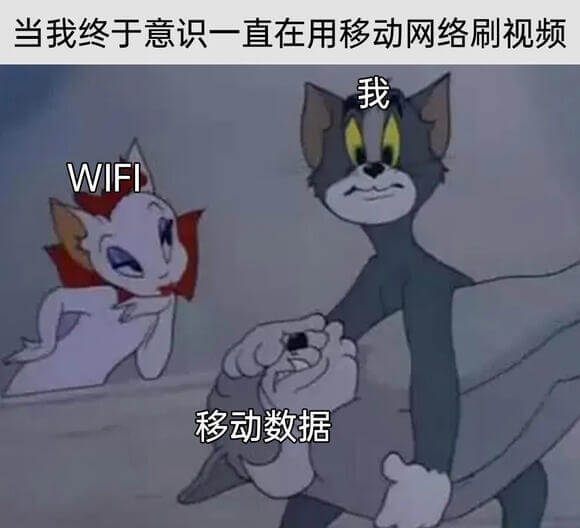 当我终于意识到一直在用移动网络刷视频我WIFI移动数据