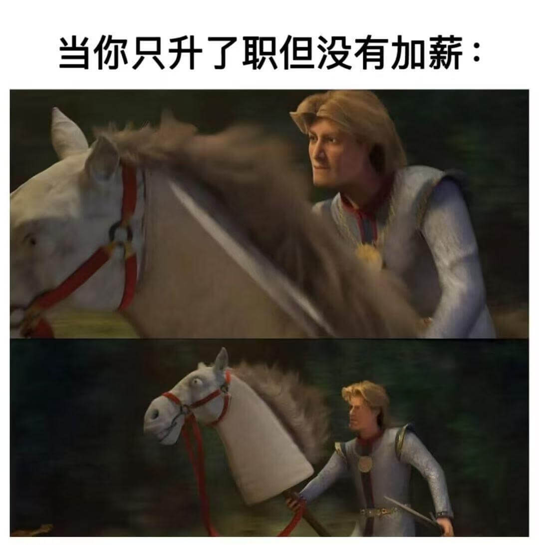 当你只升了职但没有加新：