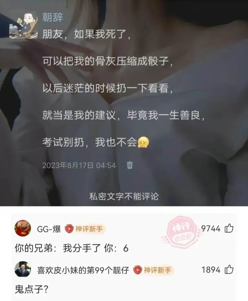 朝辞朋友，如果我死了可以把我的骨灰压缩成殷子以后迷范的时候扔