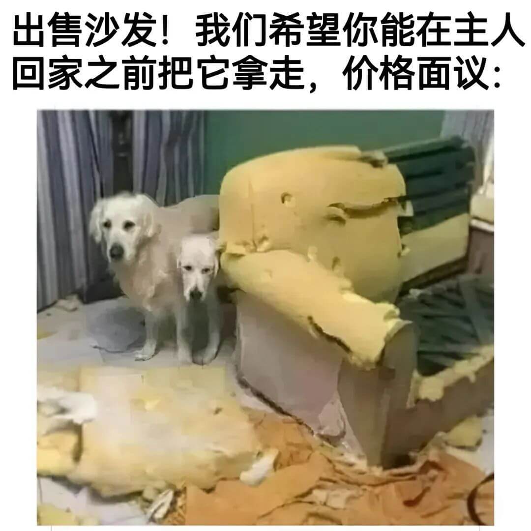 出售沙发！我们希望你能在主人回家之前把它拿走，价格面议：